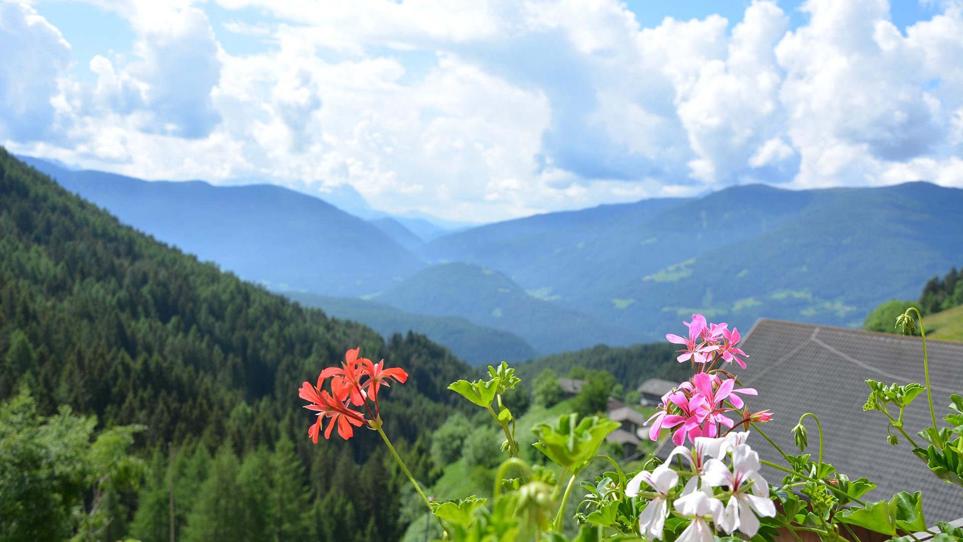 Kindlerhof a Hofern, Chienes - Agriturismo in Val Pusteria